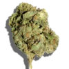 Jack Herer Weed Strain